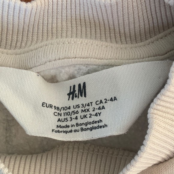 SOLD H&M Dinosaur Print Kids Sweatshirt size 2-4Y - Picture 5 of 7